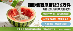 信息差-004-猫砂奇特场景带货-资源学习社