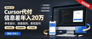 信息差-027-Cursor代付信息差年入20万-资源学习社