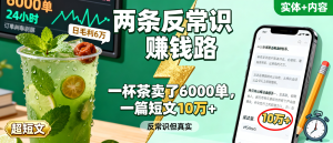 信息差-162-薄荷话梅油柑茶24小时6000单日毛利6万加超短文公众号20天10万加两条反常识赚钱路-资源学习社