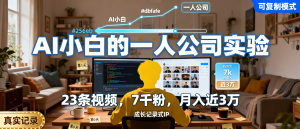 信息差-167-AI小白挑战一人公司小黄23条视频7k粉月入近3万普通人可复制的AI加成长记录IP模式-资源学习社